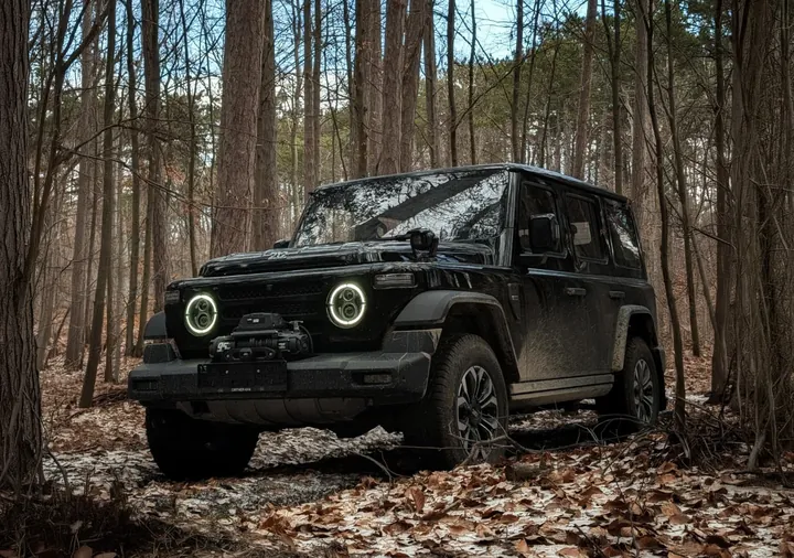 BAW 212 im Wald